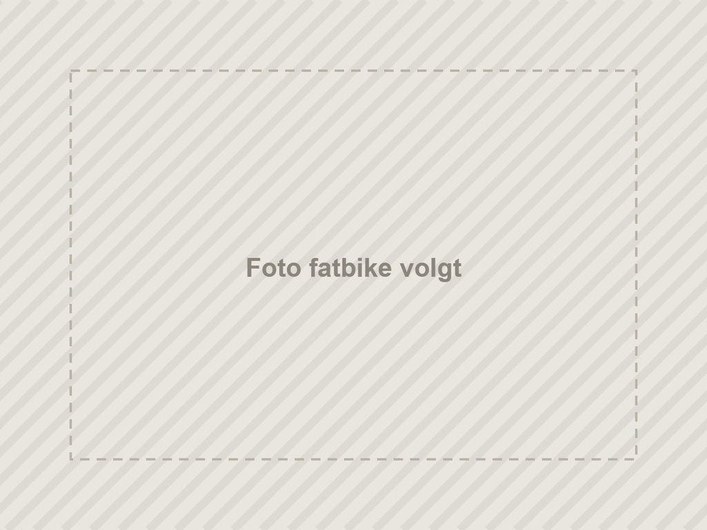 Heybike fatbike (voorbeeld)